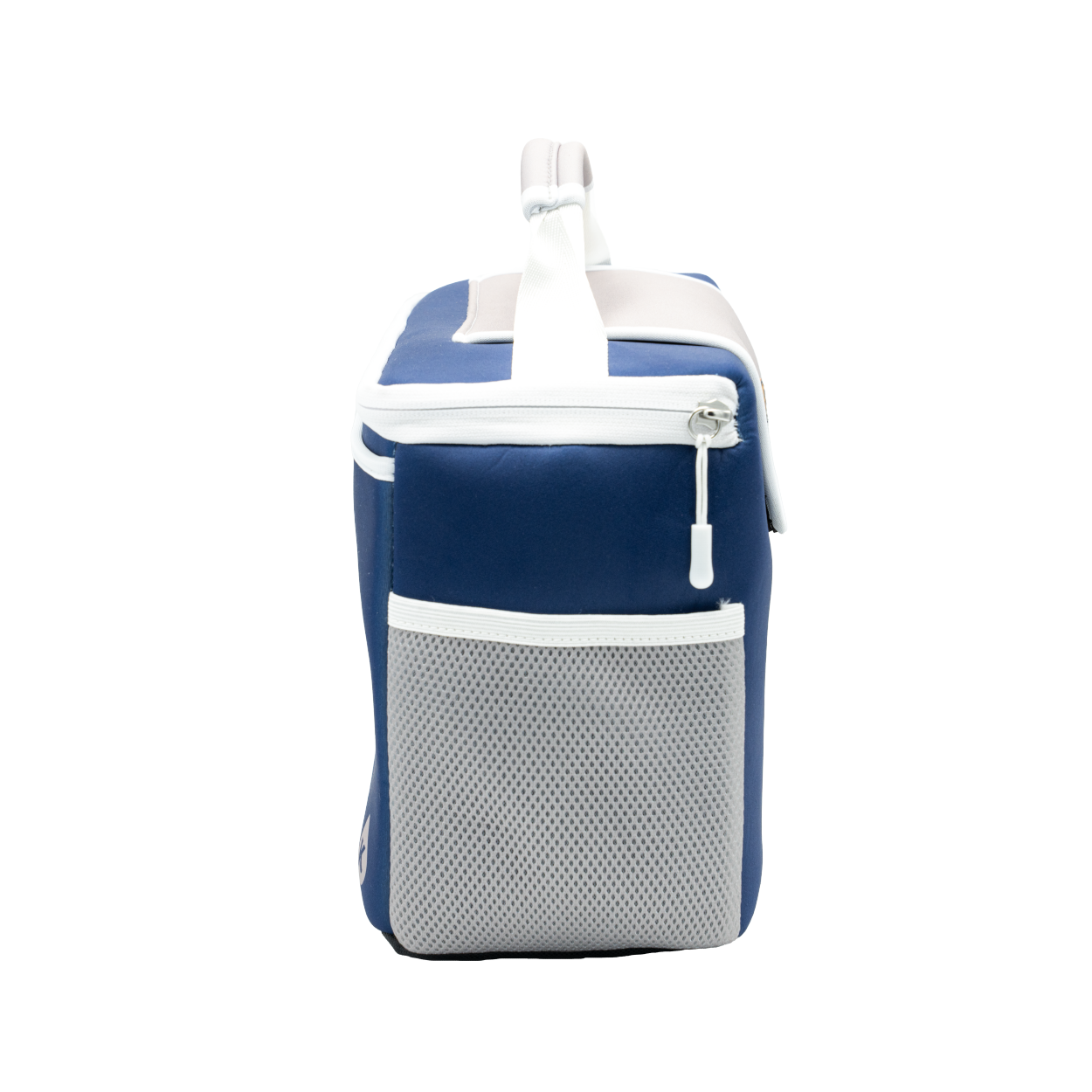 Neptune BrewBox